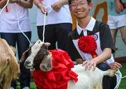 今年会app-包含紧追在领头羊的身后，强敌对决令人期待的词条